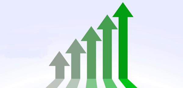 Olio d'oliva: domanda mondiale in crescita del 5,3% rispetto al 2018
