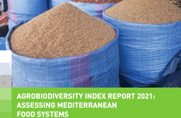 Agrobiodiversità: la chiave per la sopravvivenza della dieta mediterranea