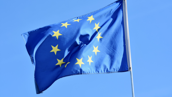 Olio d'oliva in Europa: Prezzi record e sfide per il settore olivicolo