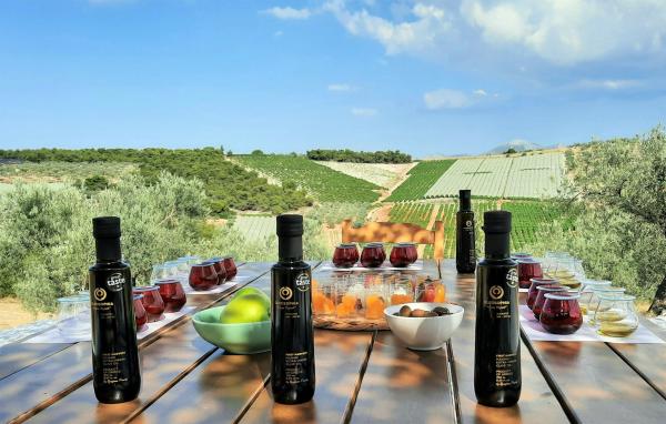 Oleosophia, Grecia: olivicoltura biodinamica per contrastare l'emergenza climatica