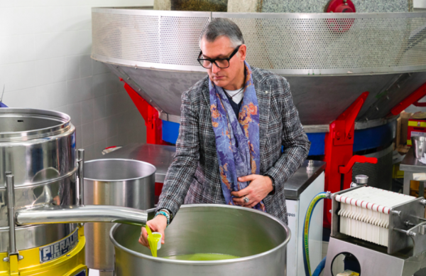 La raccolta delle olive: criticità e urgenze per i produttori