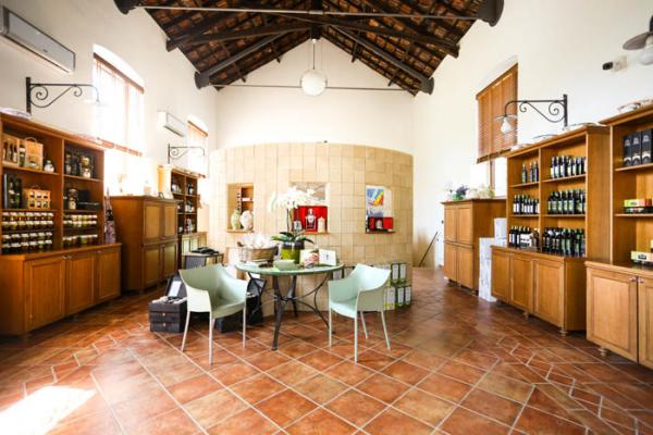 Frantoio Galantino: oleoturismo su misura del viaggiatore