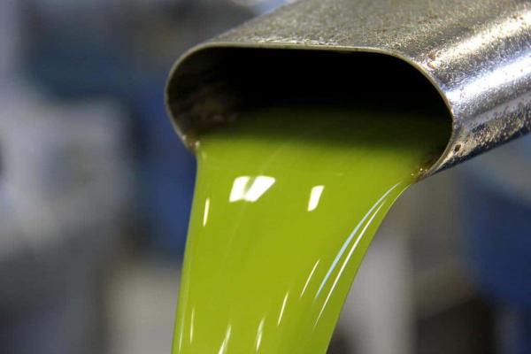 Stock olio: leggero aumento, concentrato nel Sud