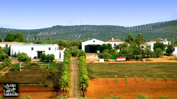 Aceite Las Valdesas: dalla Spagna, olio simbolo di forza e resilienza