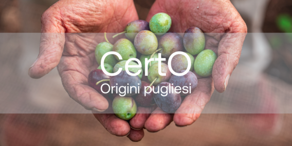 Conoscere con certezza l'origine dell'olio evo pugliese? Sì, grazie al progetto 