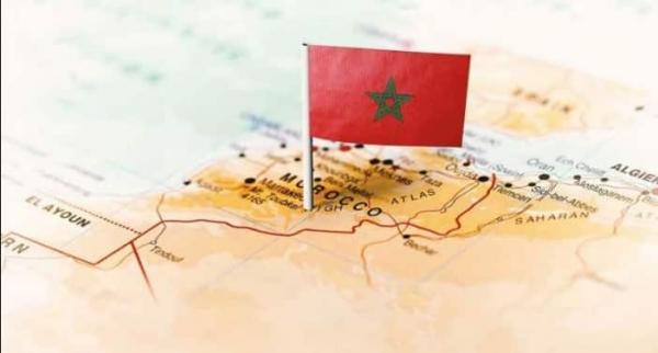 Olivicoltura Marocco: alto potenziale di sviluppo