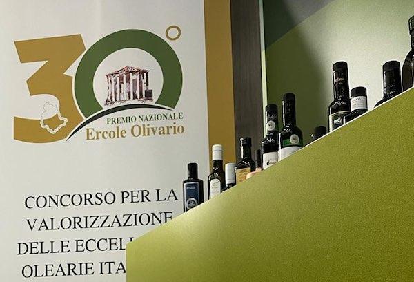 Concorso Ercole Olivario: Premiati i 12 vincitori