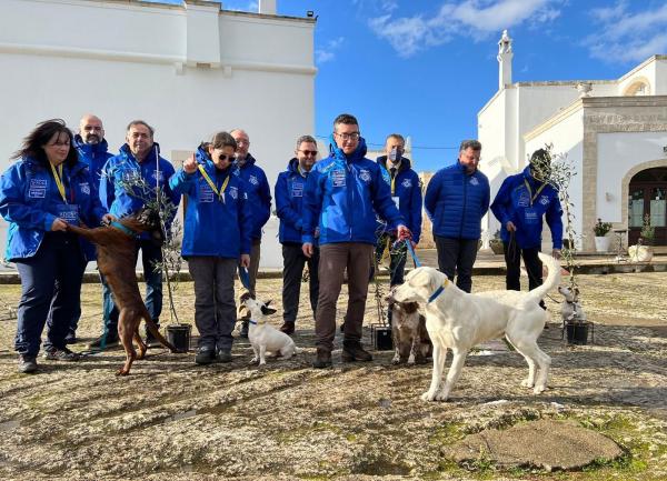Cani contro la Xylella: continua il progetto per salvare gli ulivi italiani