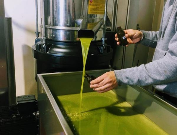 Stime produzione olio: -37%, Italia dal 2° al 3° posto tra i produttori mondiali