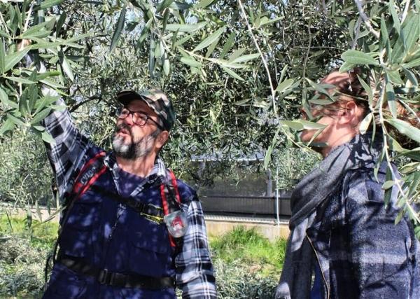 Frantoio Labianca Domenico: olio di famiglia da oltre 100 anni