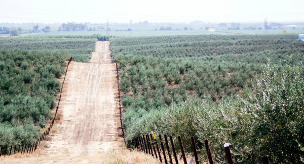 Emergenza clima: la testimonianza di QvExtra!