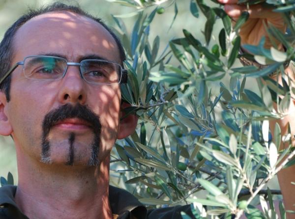 Evoluzione in olivicoltura: focus su biodiversità, formazione e sicurezza