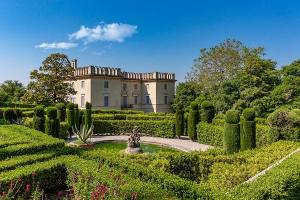 L'olio Evo di Guerrieri Rizzardi: tradizione e territorio vocato